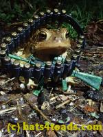 /home//u458753944/public_html/sourcegallery//Roxborough Toad Detour/2021/2021-03-31/P3310147.JPG